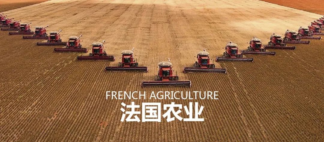 法国农业：欧盟农业大国，靠这6大战略制胜市场